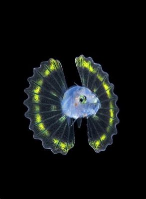  Ctenophora! A Bioluminescent Beauty Shimmering Like Living Jewels in the Vast Ocean Depths