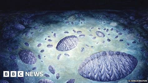 Fractofusus! This ancient Hydrozoa colony builder reveals secrets about the Cambrian explosion