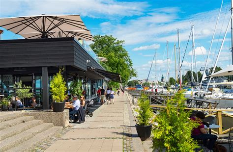  Tunturisimppeli – Se on meren pohjan älykkäin asukas ja samalla yksi herkullisimmistä ravintolähteistä!